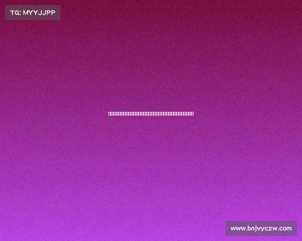 排球赛事安排专题：二零二四至二零二五赛季全国锦标赛赛程规划与实施指南